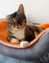 Kinga (2)